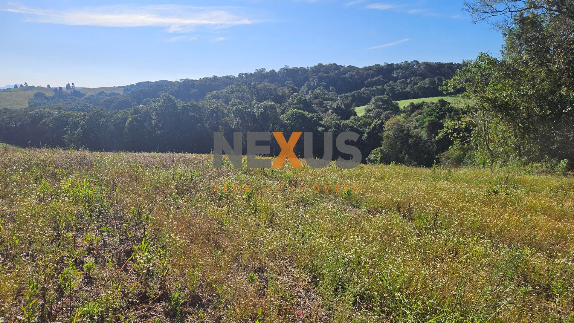 Chácara 7 Alqueires em Campo Magro  Ideal para Plantio e Lazer