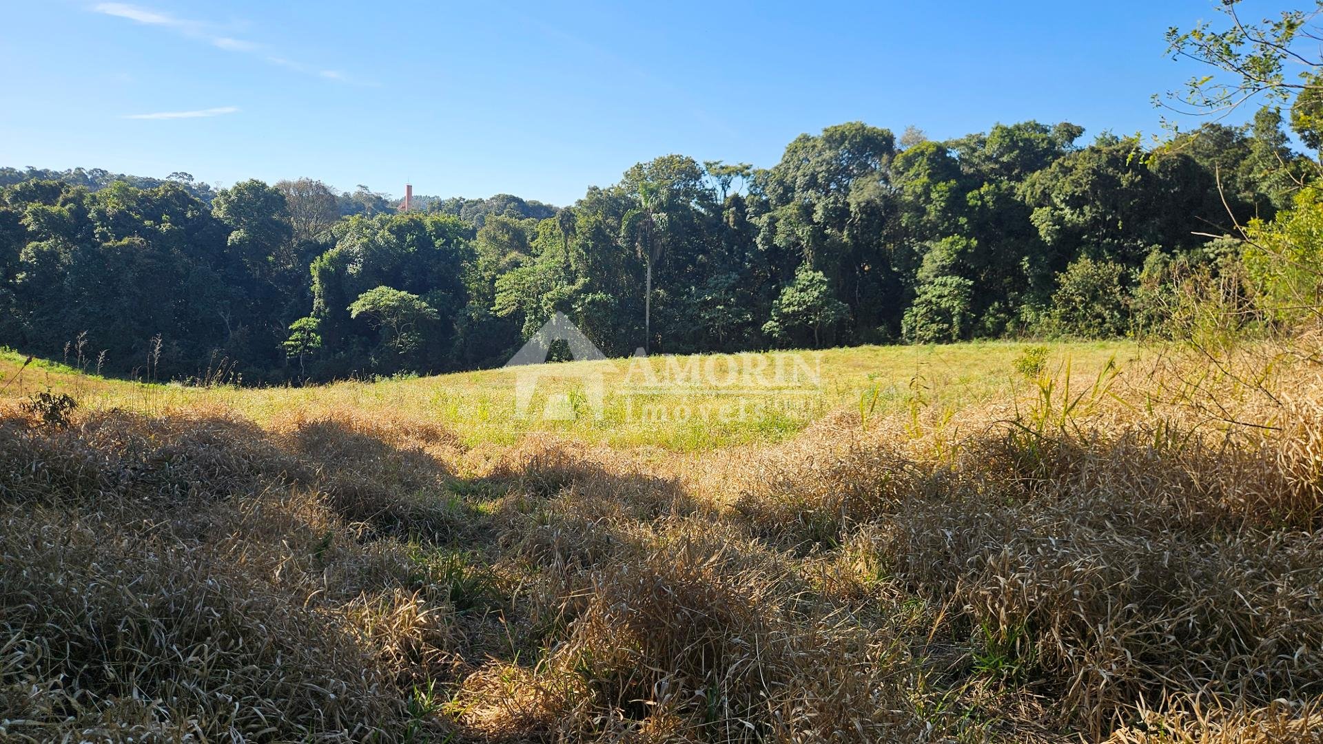 Chácara 7 Alqueires em Campo Magro  Ideal para Plantio e Lazer