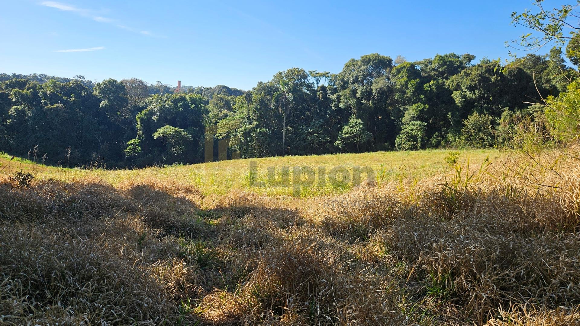 Chácara 7 Alqueires em Campo Magro  Ideal para Plantio e Lazer