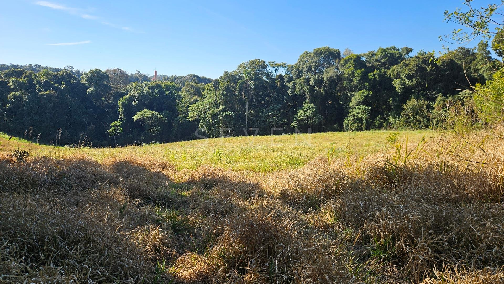 Chácara 7 Alqueires em Campo Magro  Ideal para Plantio e Lazer