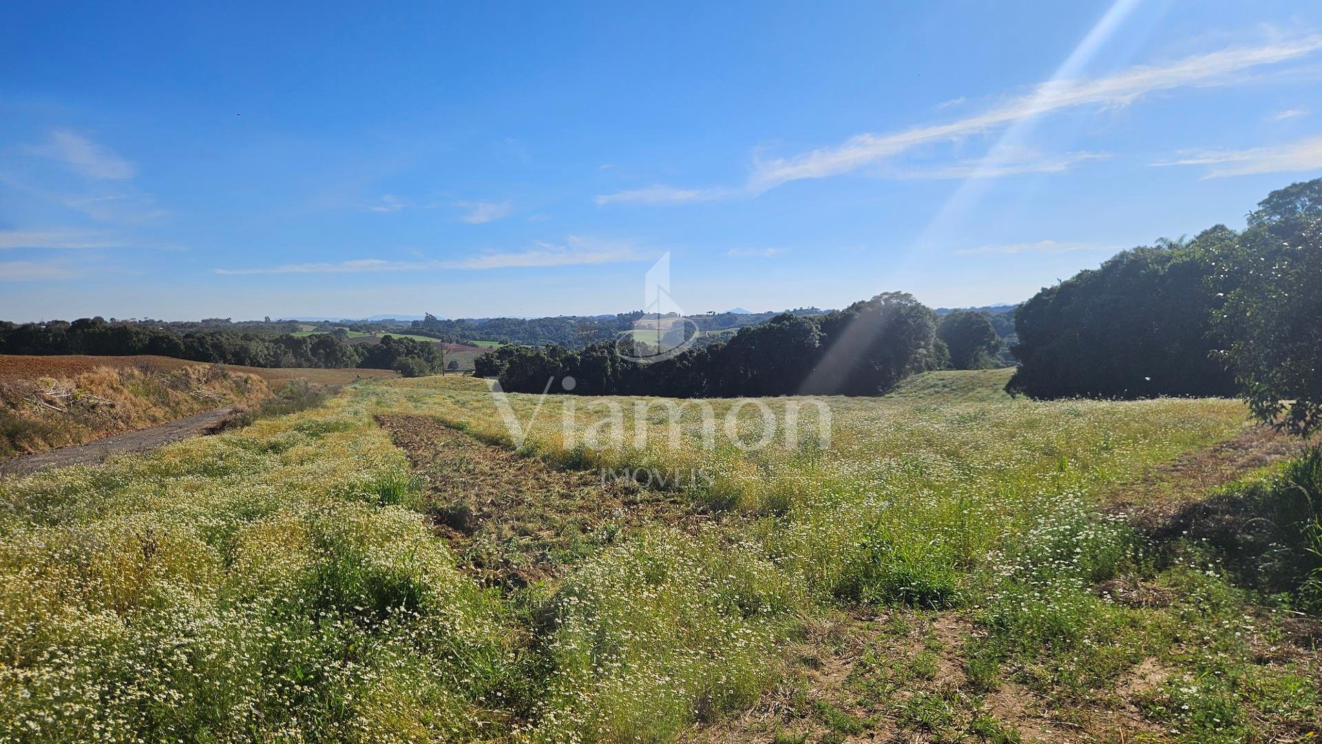 Área com 169.400m, abaixo do valor de mercado, 7 Alqueires, a ...