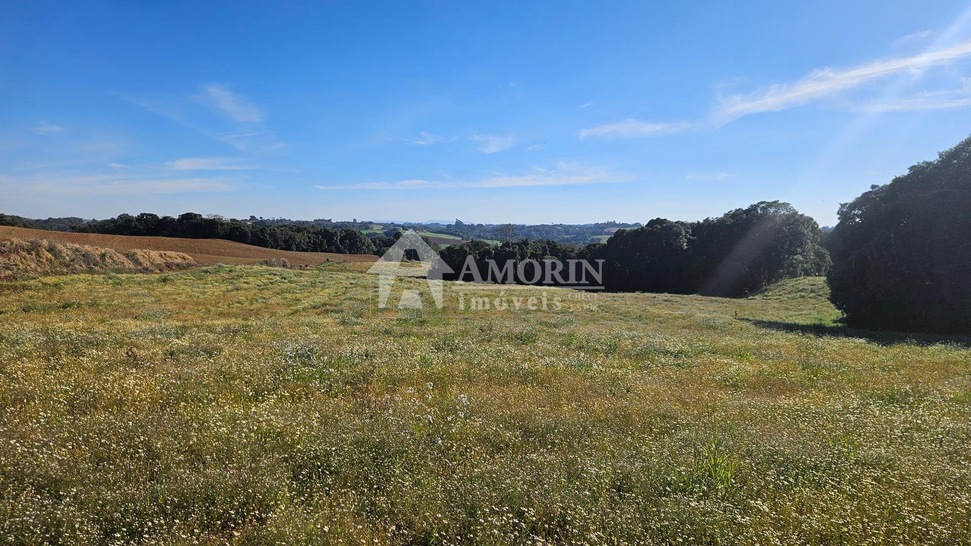 Área com 169.400m, abaixo do valor de mercado, 7 Alqueires, a ...