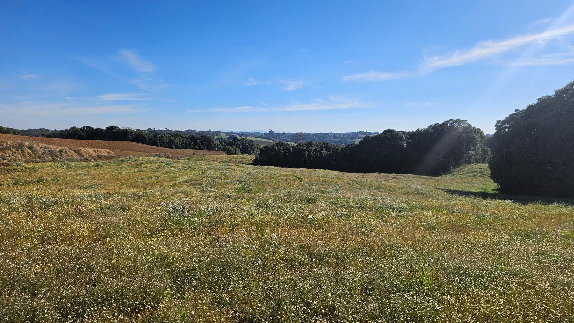 Área Rural de 7 Alqueires, 169.400m  com Rio e Córrego  Próxima a Curitiba