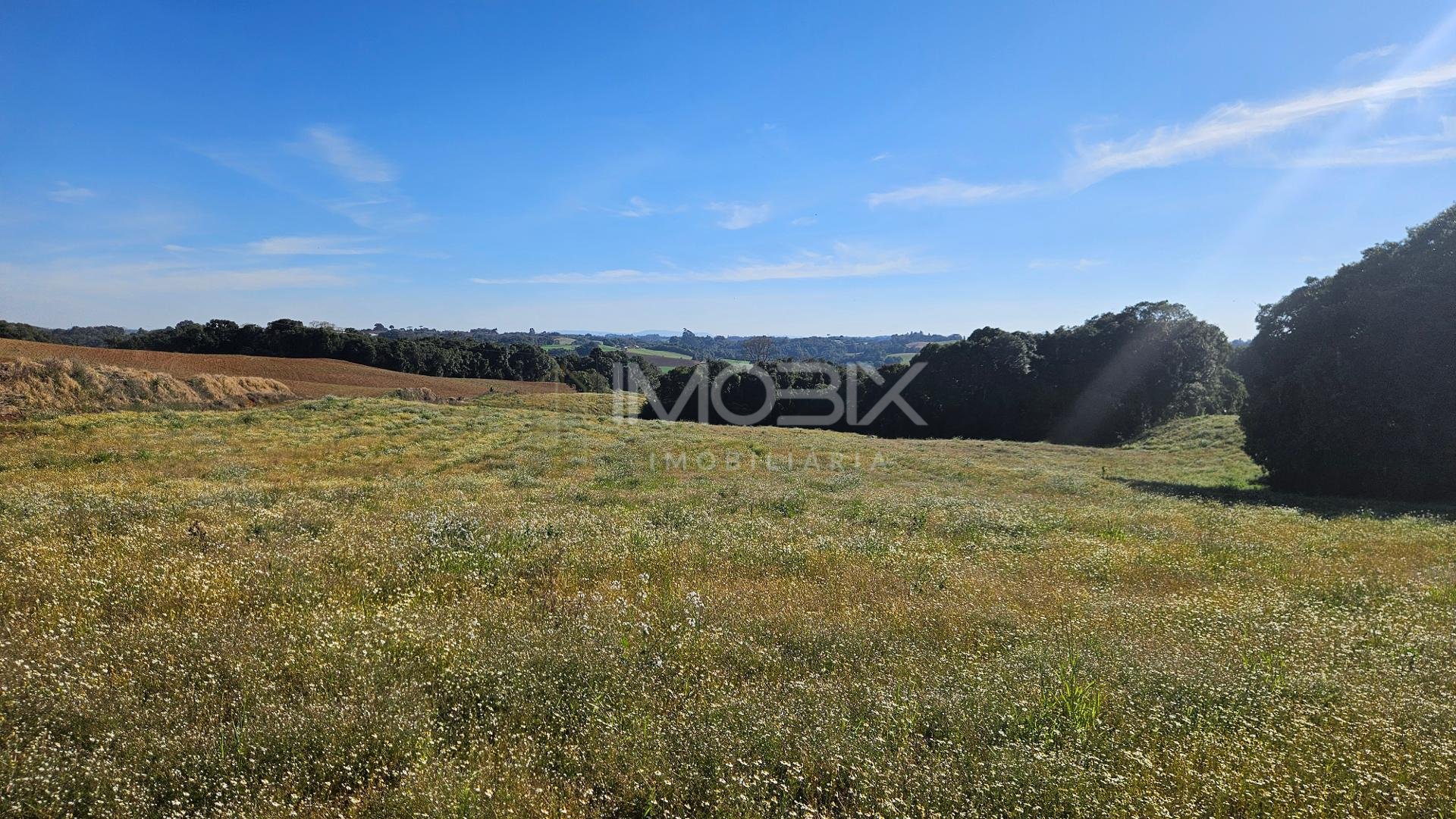 Área com 169.400m, abaixo do valor de mercado, 7 Alqueires, a ...