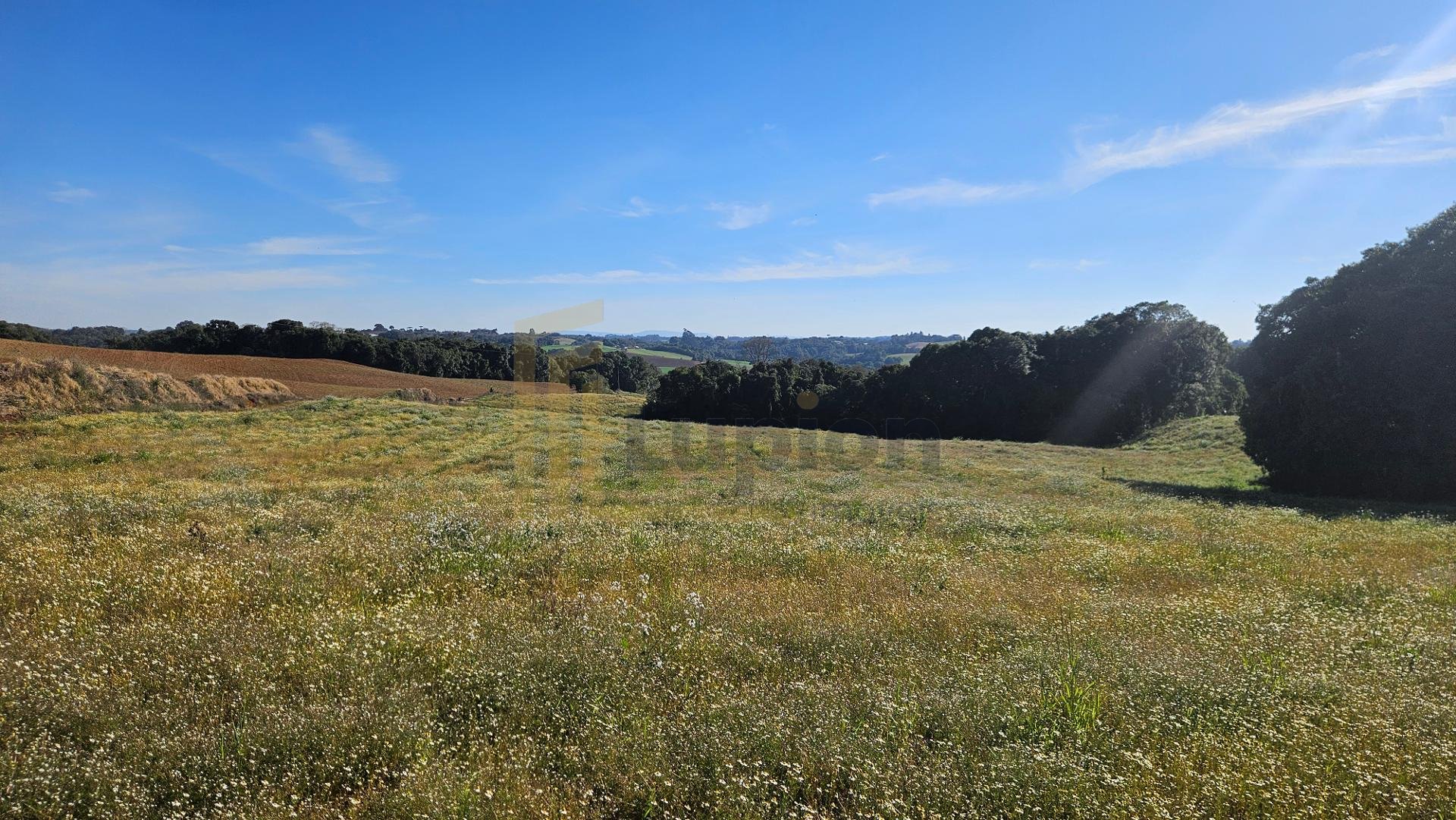 Área Rural de 7 Alqueires com Rio e Córrego  Próxima a Curitiba