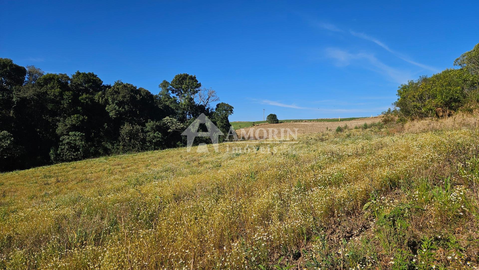 Área Rural de 7 Alqueires com Rio e Córrego  Próxima a Curitiba