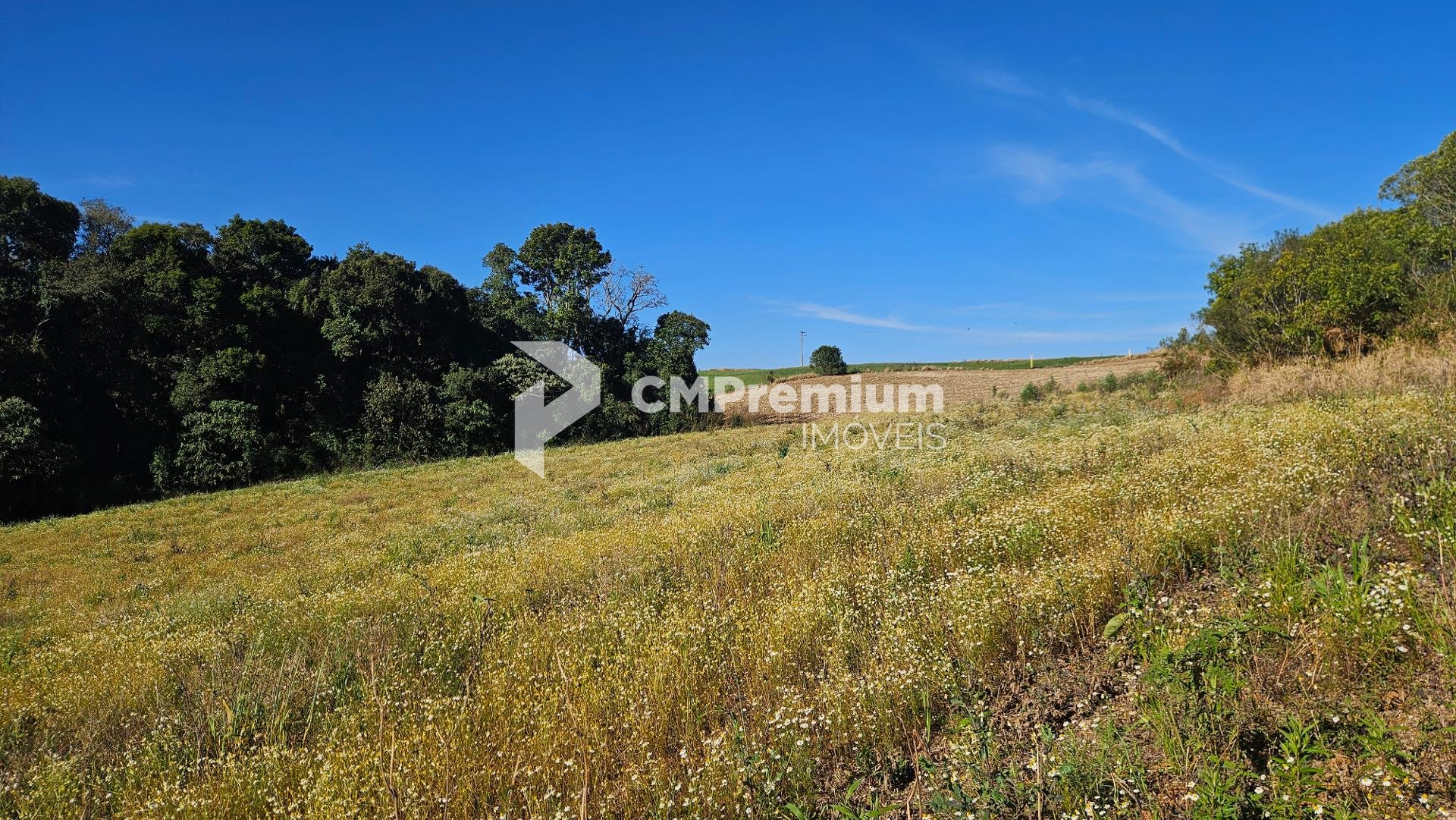 Área Rural de 7 Alqueires com Rio e Córrego  Próxima a Curitiba