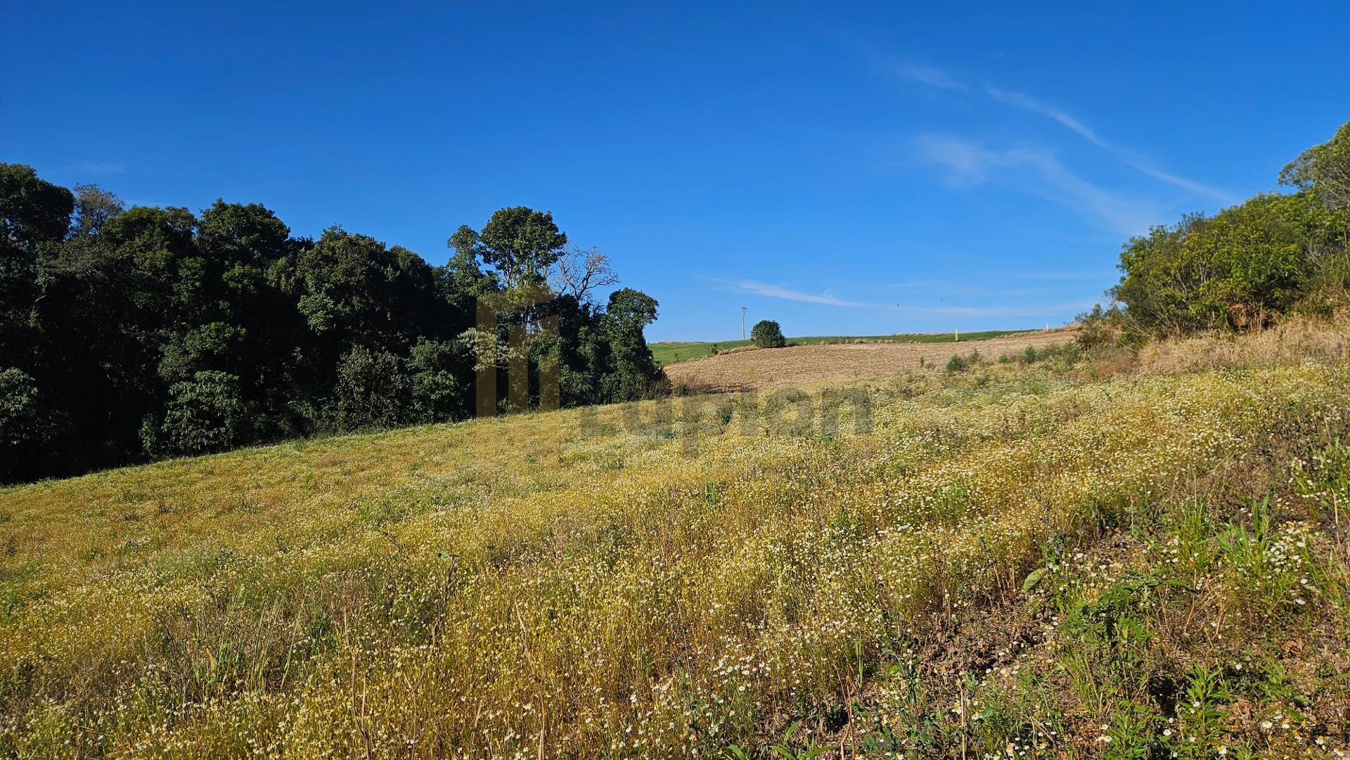 Área Rural de 7 Alqueires com Rio e Córrego  Próxima a Curitiba