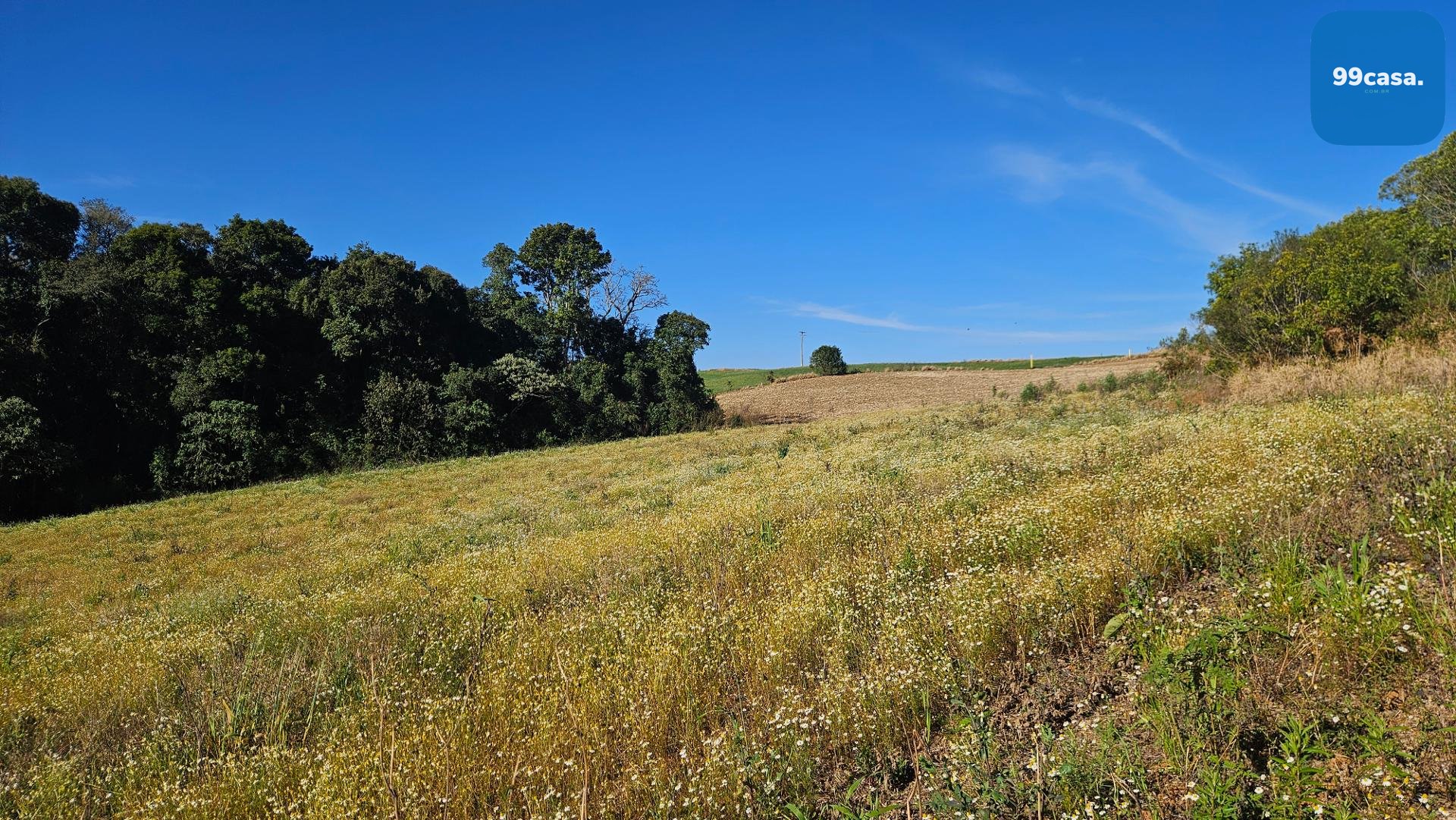 Área Rural de 7 Alqueires com Rio e Córrego  Próxima a Curitiba