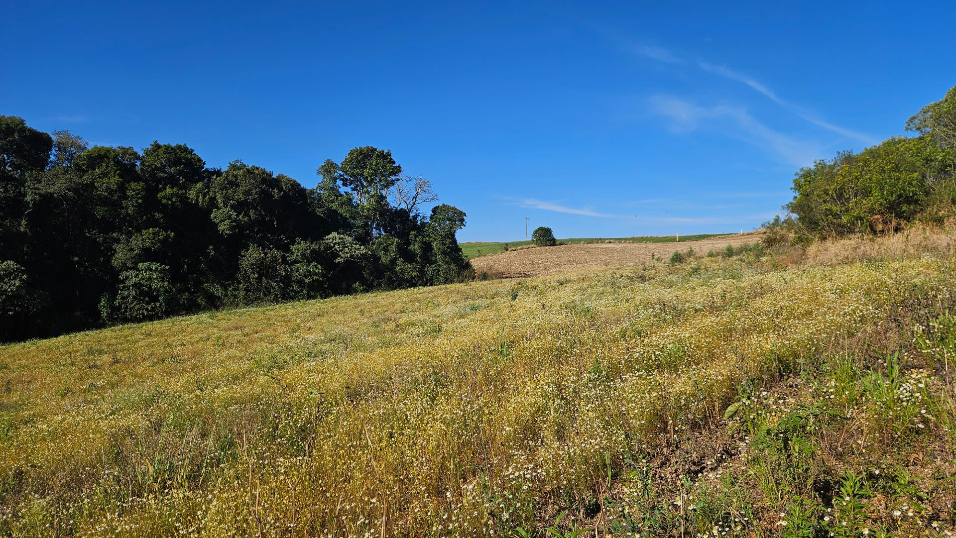 Área Rural de 7 Alqueires, 169.400m  com Rio e Córrego  Próxim...