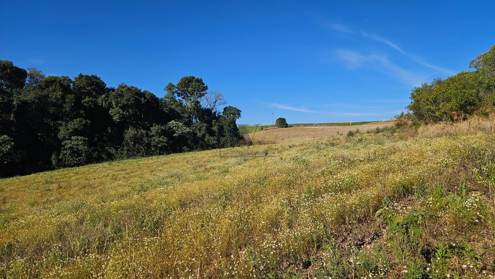 Área Rural de 7 Alqueires com Rio e Córrego  Próxima a Curitiba