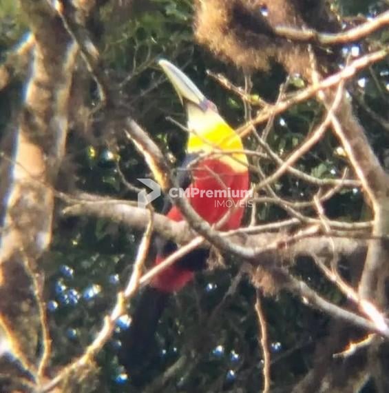 Chácara com 3 dormitórios à venda,5000.00 m , Recreio da Serra...