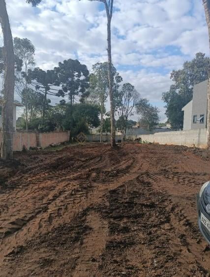 Terreno 14x47 na Granja das Ac?cias ? Murado, com ?gua e luz, ...