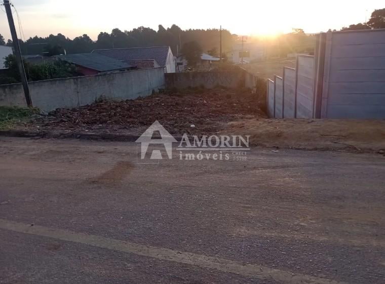 Terreno 250m  a 100m do Novo Hospital Regional  São José dos ...