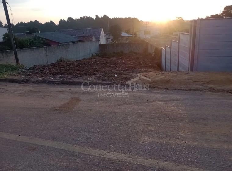 Terreno 250m  a 100m do Novo Hospital Regional  São José dos ...