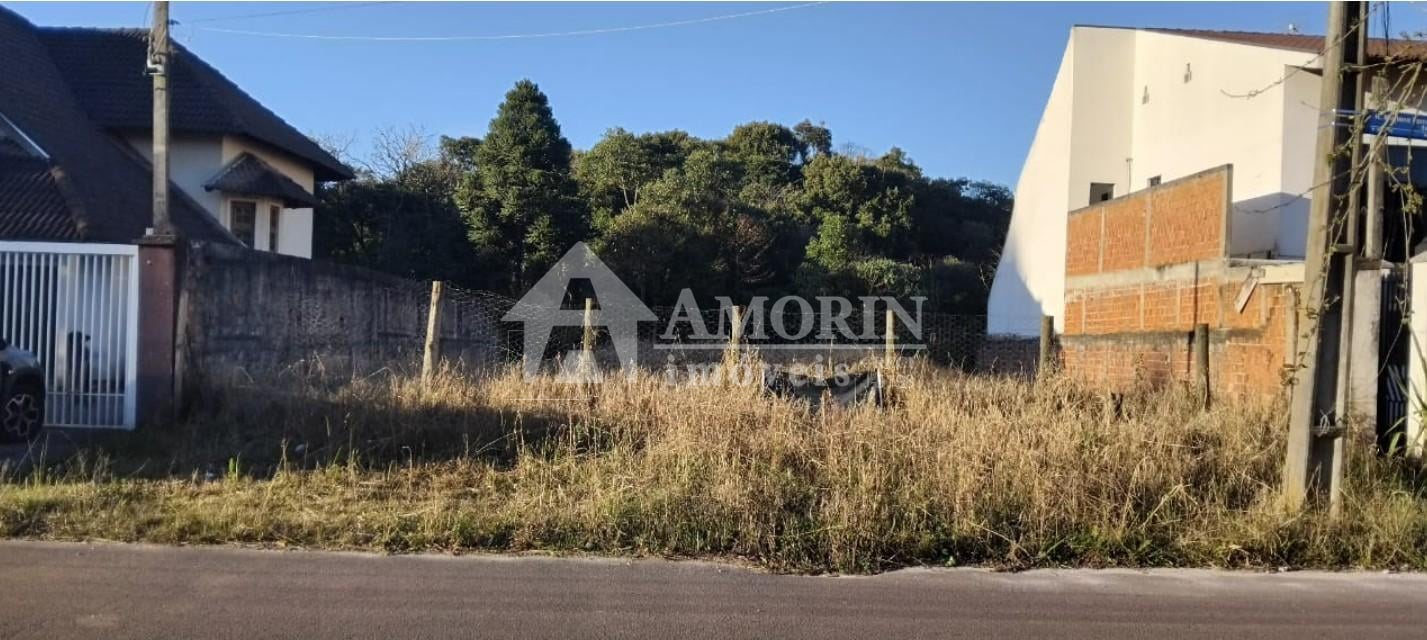 Terreno 719m  em Santa Felicidade. Localização Privilegiada e ...