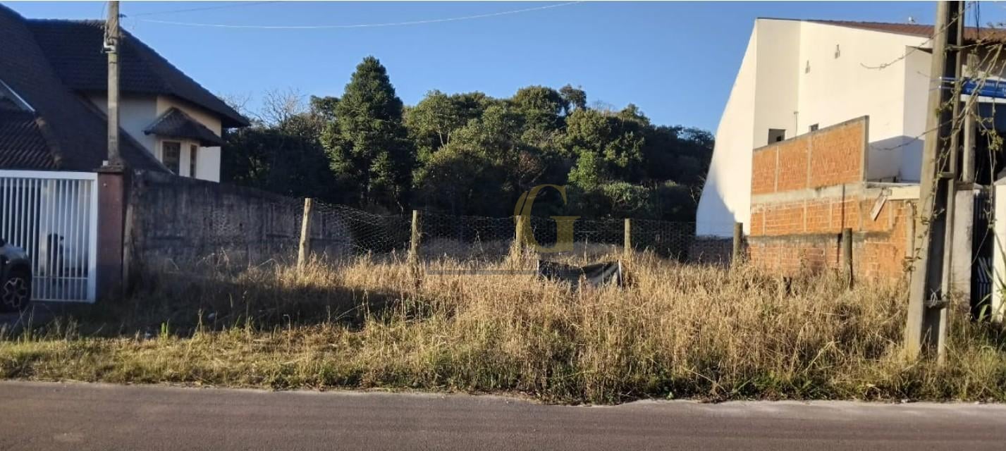 Terreno 719m  em Santa Felicidade. Localização Privilegiada e ...