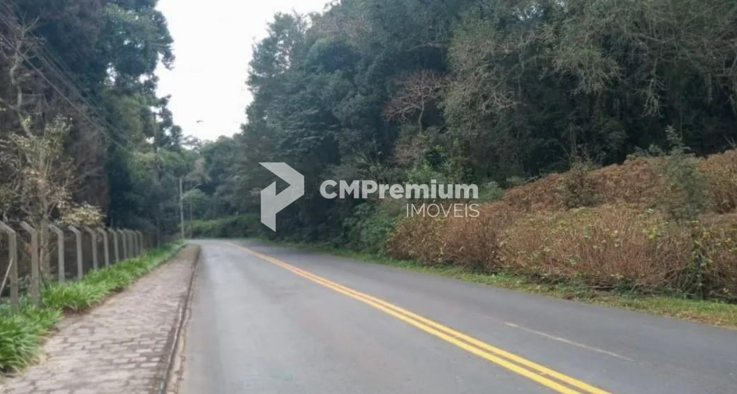 Terrenos Amplos na Rua Mato Grosso  Potencial para Condomínio...