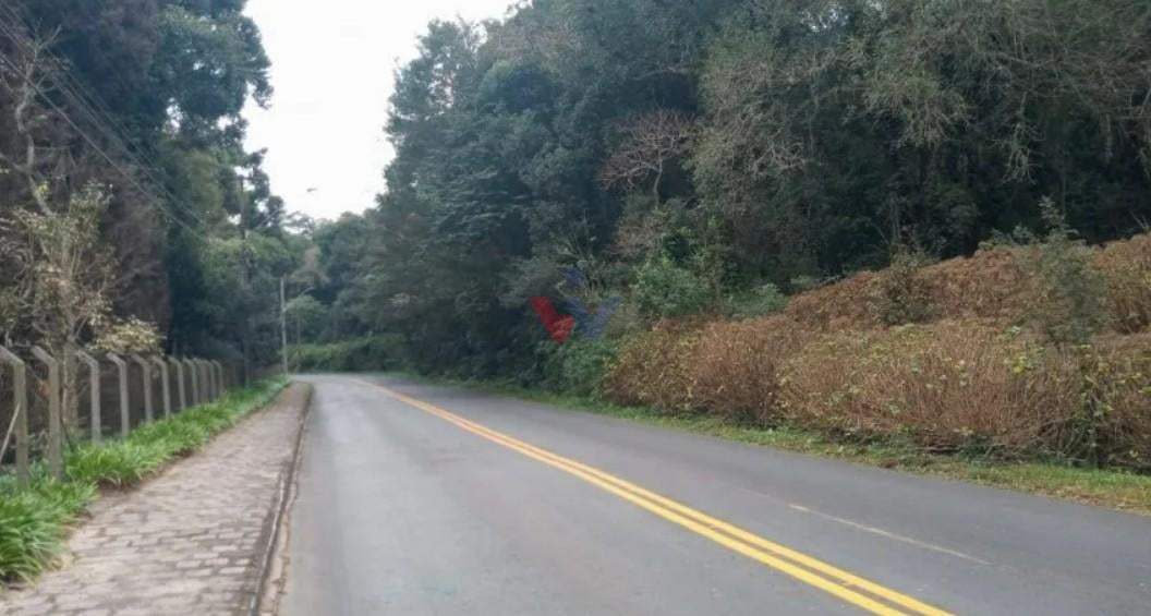 Terrenos Amplos na Rua Mato Grosso  Potencial para Condomínio...