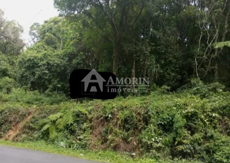 Terrenos Amplos na Rua Mato Grosso  Potencial para Condomínio...