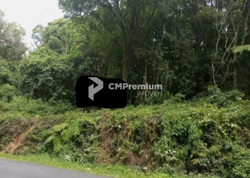 Terrenos Amplos na Rua Mato Grosso  Potencial para Condomínio...