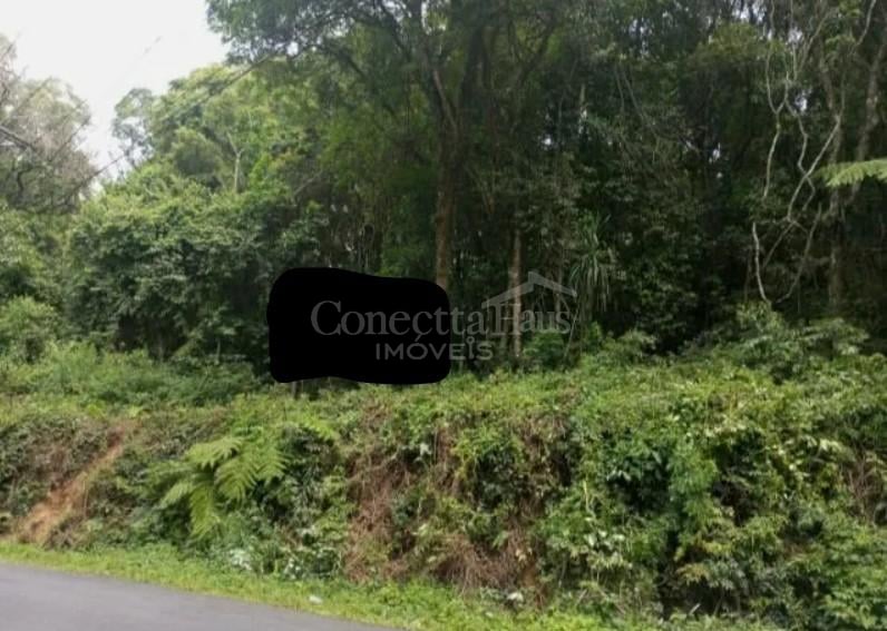 Terrenos Amplos na Rua Mato Grosso  Potencial para Condomínio...