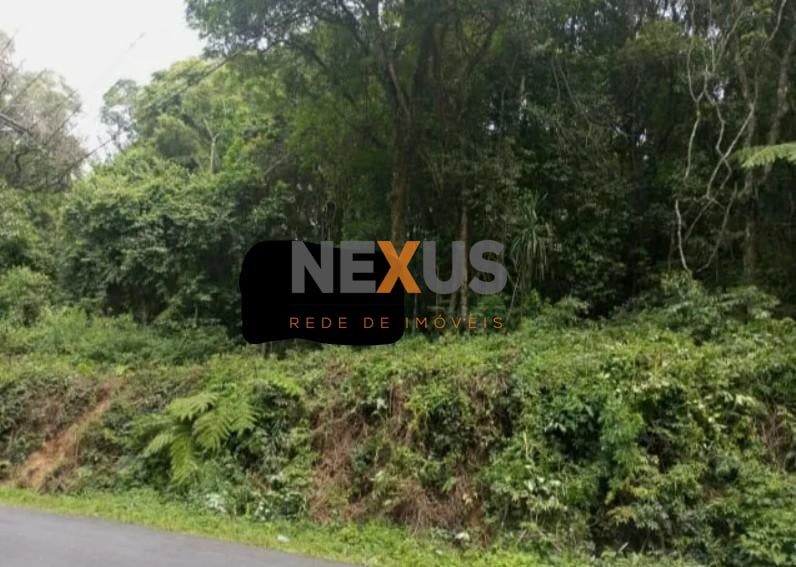 Terrenos Amplos na Rua Mato Grosso  Potencial para Condomínio...