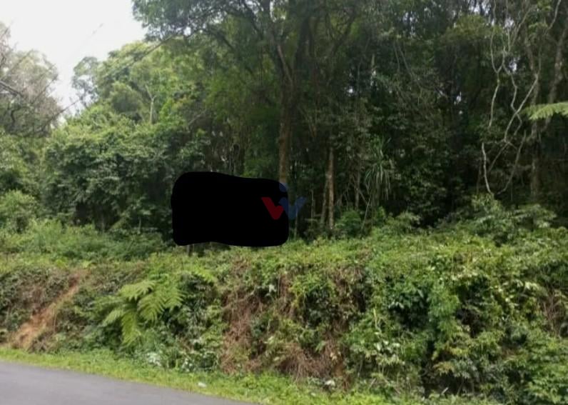 Terrenos Amplos na Rua Mato Grosso  Potencial para Condomínio...
