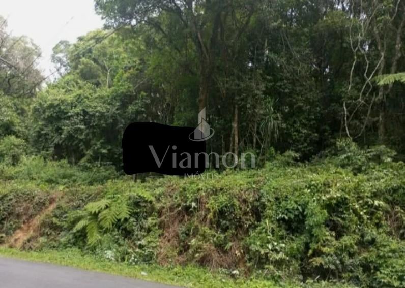 Terrenos Amplos na Rua Mato Grosso  Potencial para Condomínio...