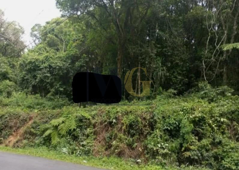 Terrenos Amplos na Rua Mato Grosso  Potencial para Condomínio...