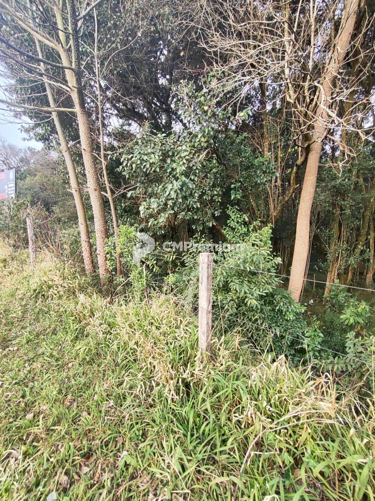 Terrenos à Venda em Araucária  Mais de 18.000 m  Cada | Inves...