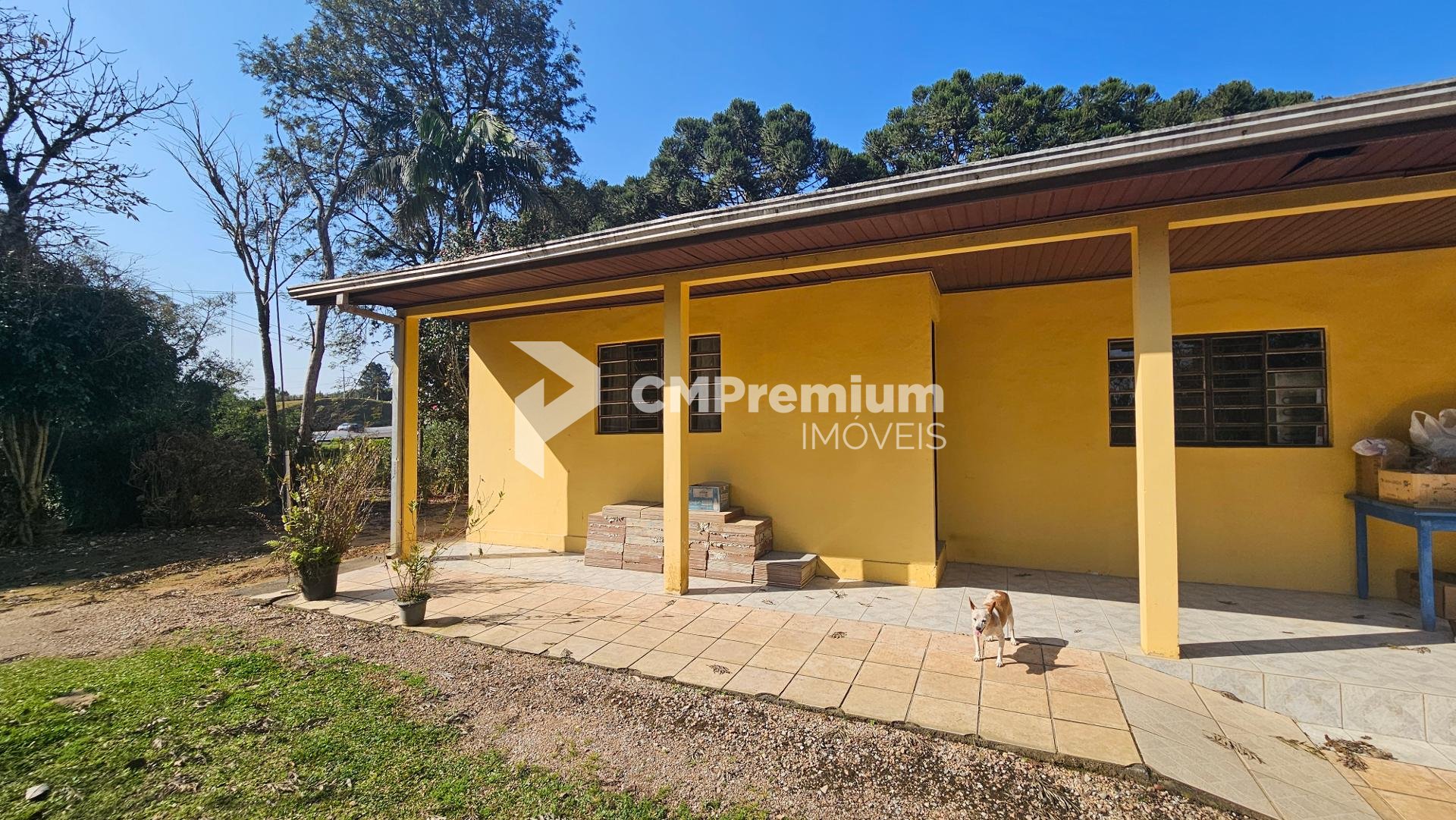 Chácara 40.000 m  em Mandirituba  Casa, pomar, nascentes e açude