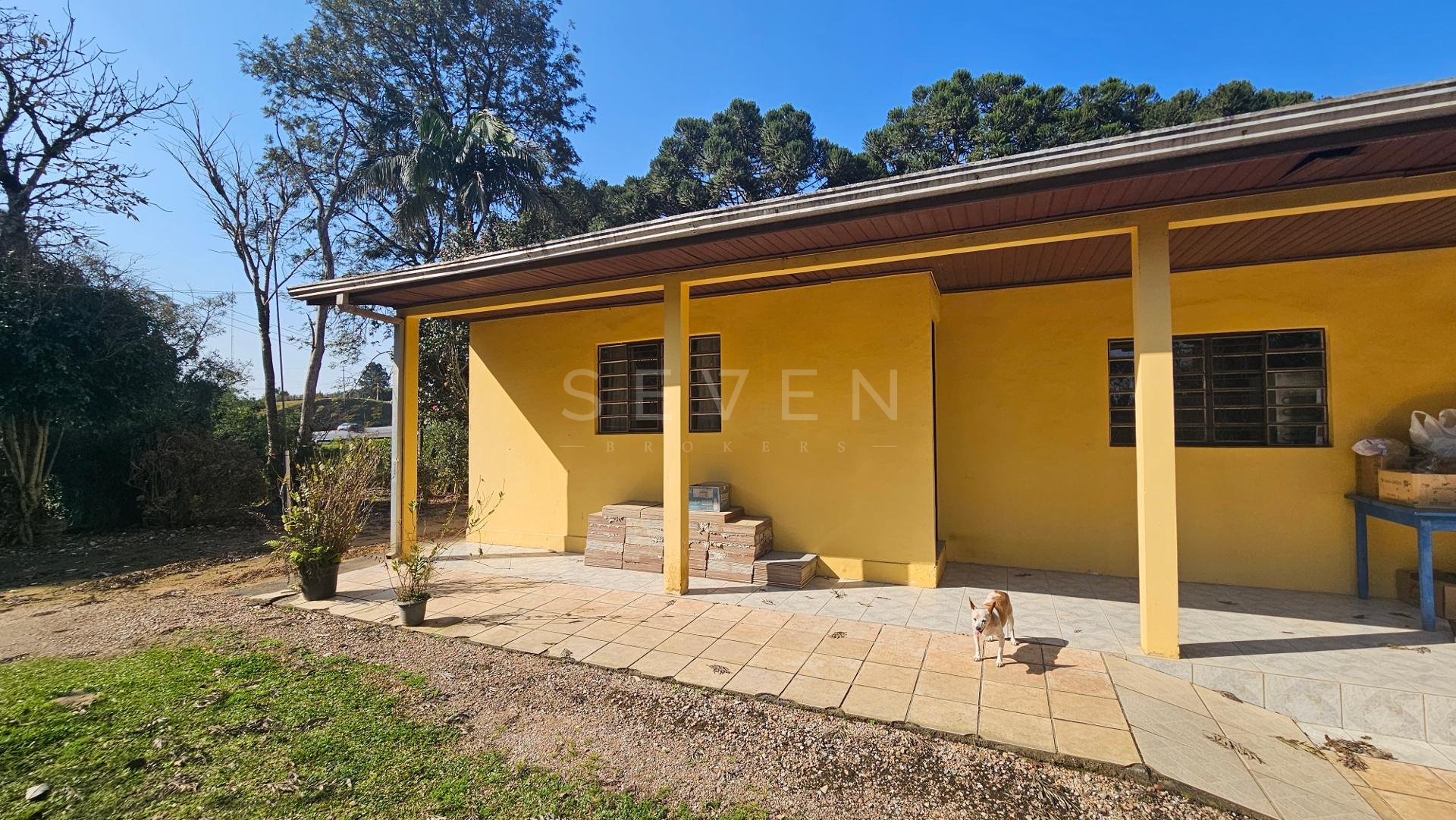Chácara 40.000 m  em Mandirituba  Casa, pomar, nascentes e açude
