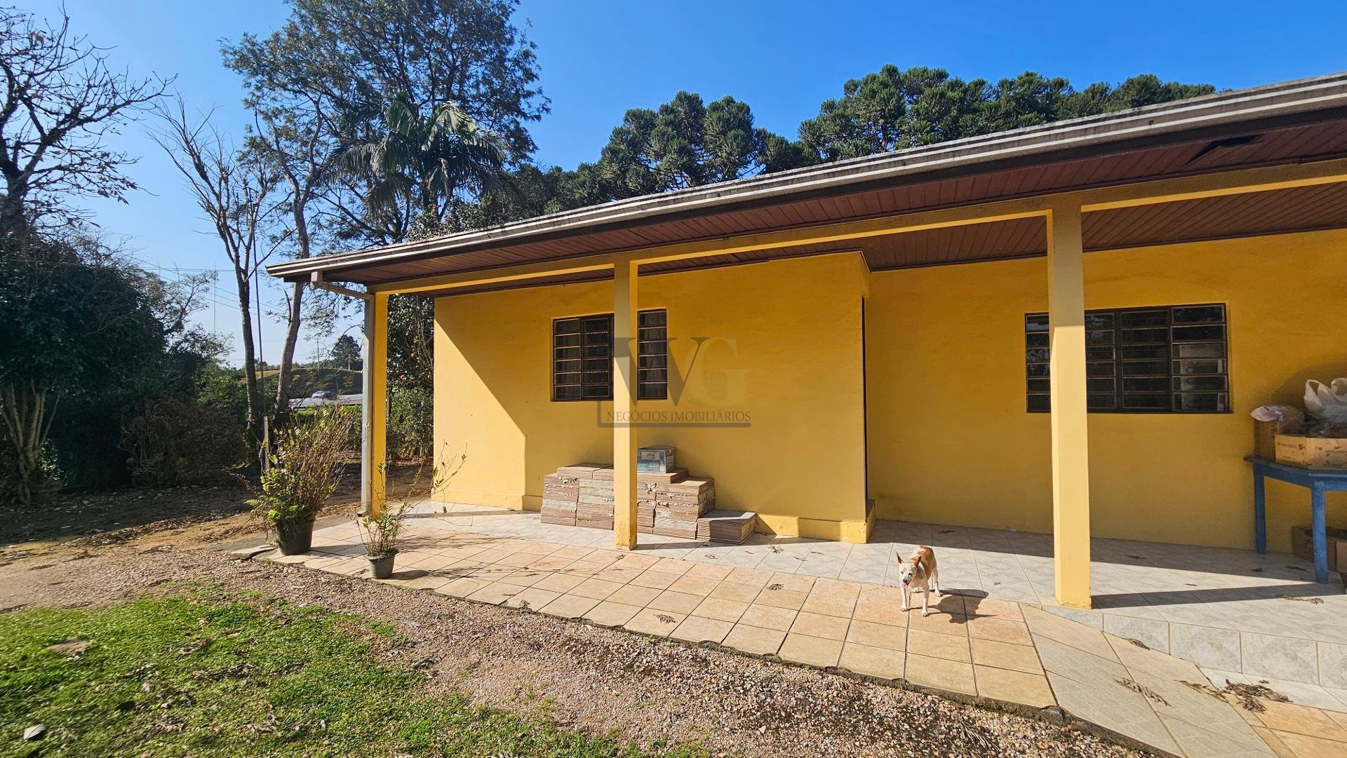 Chácara 40.000 m  em Mandirituba  Casa, pomar, nascentes e açude