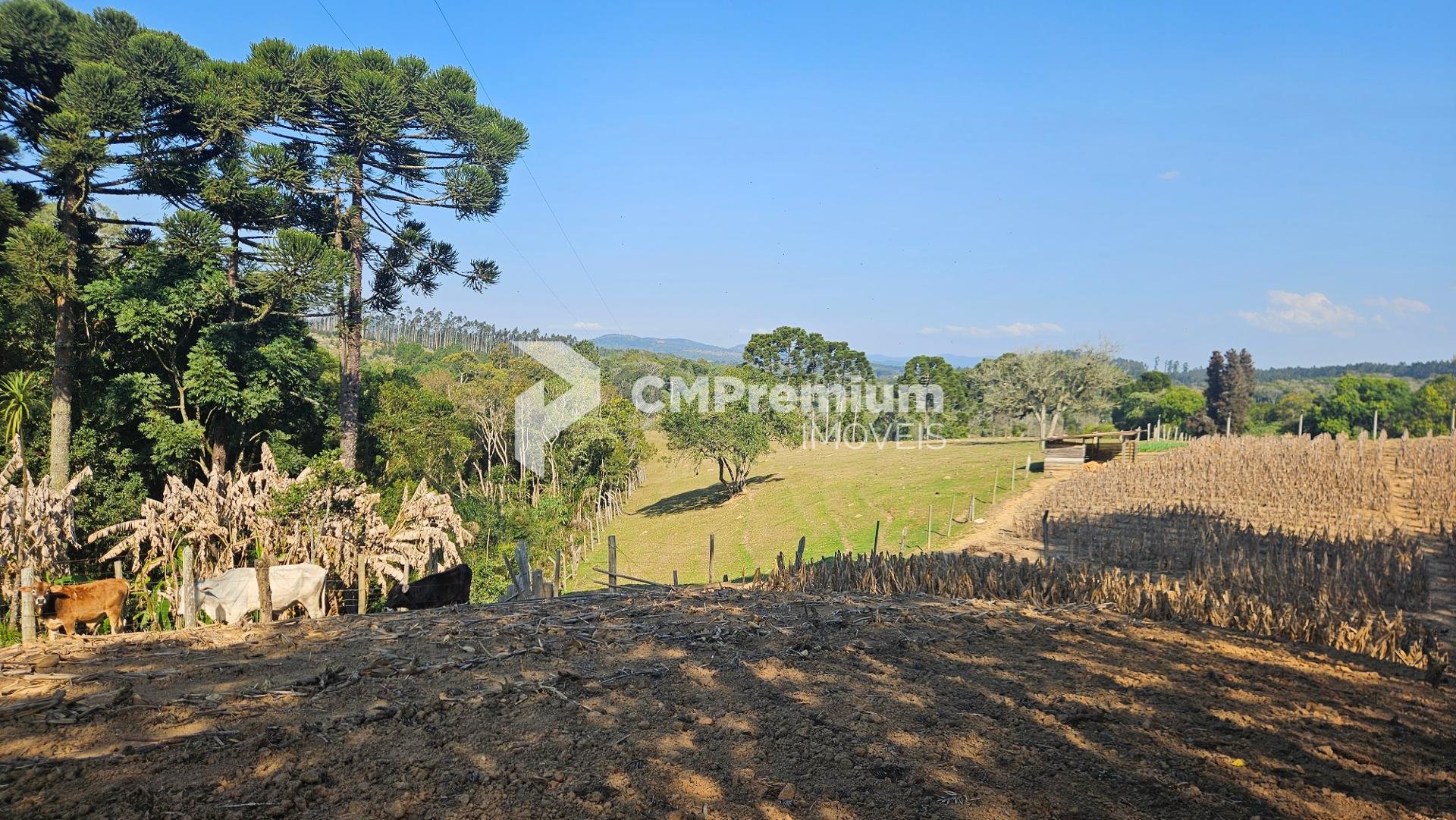 Chácara 40.000 m  em Mandirituba  Casa, pomar, nascentes e açude