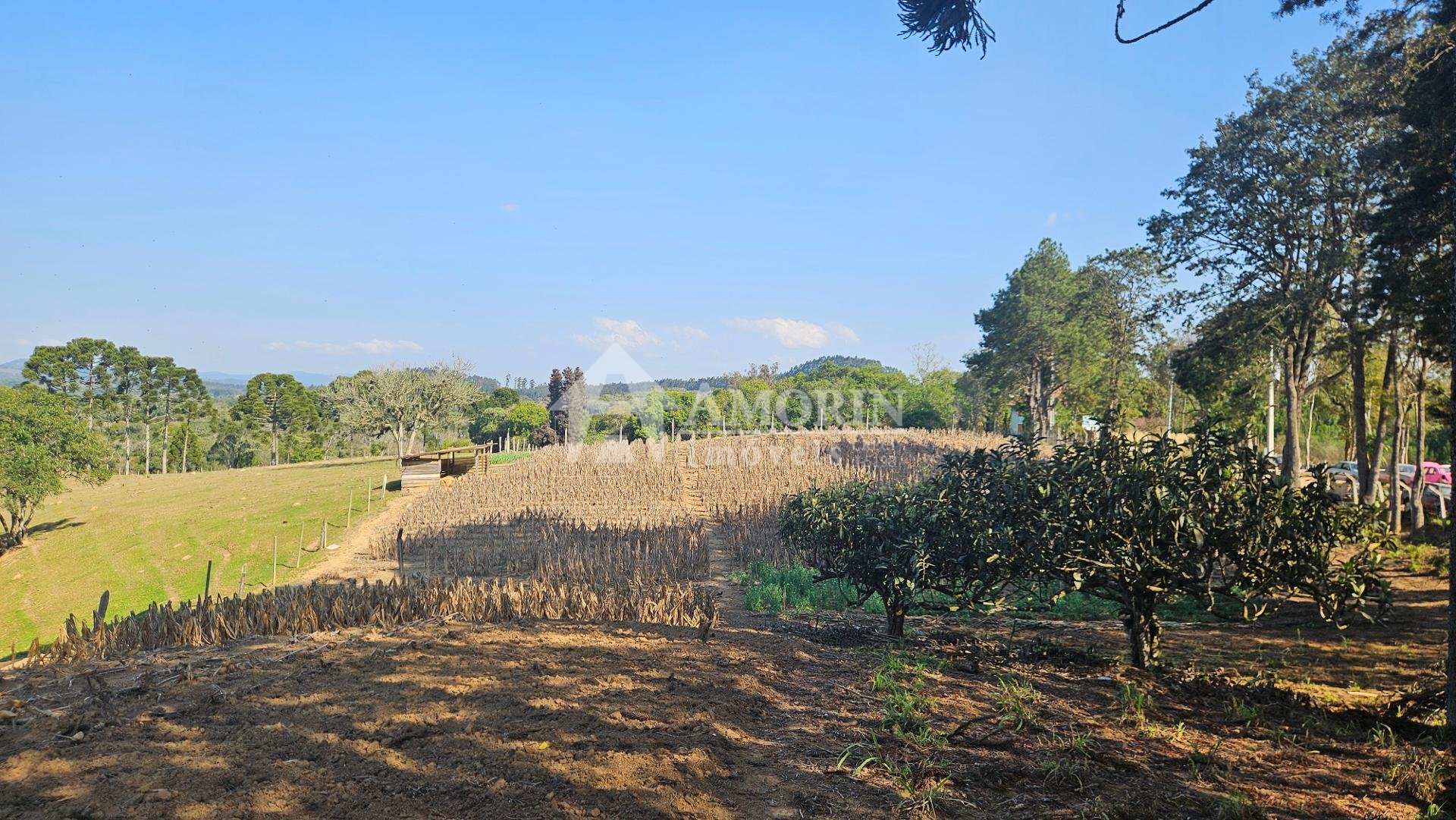 Chácara 40.000 m  em Mandirituba  Casa, pomar, nascentes e açude