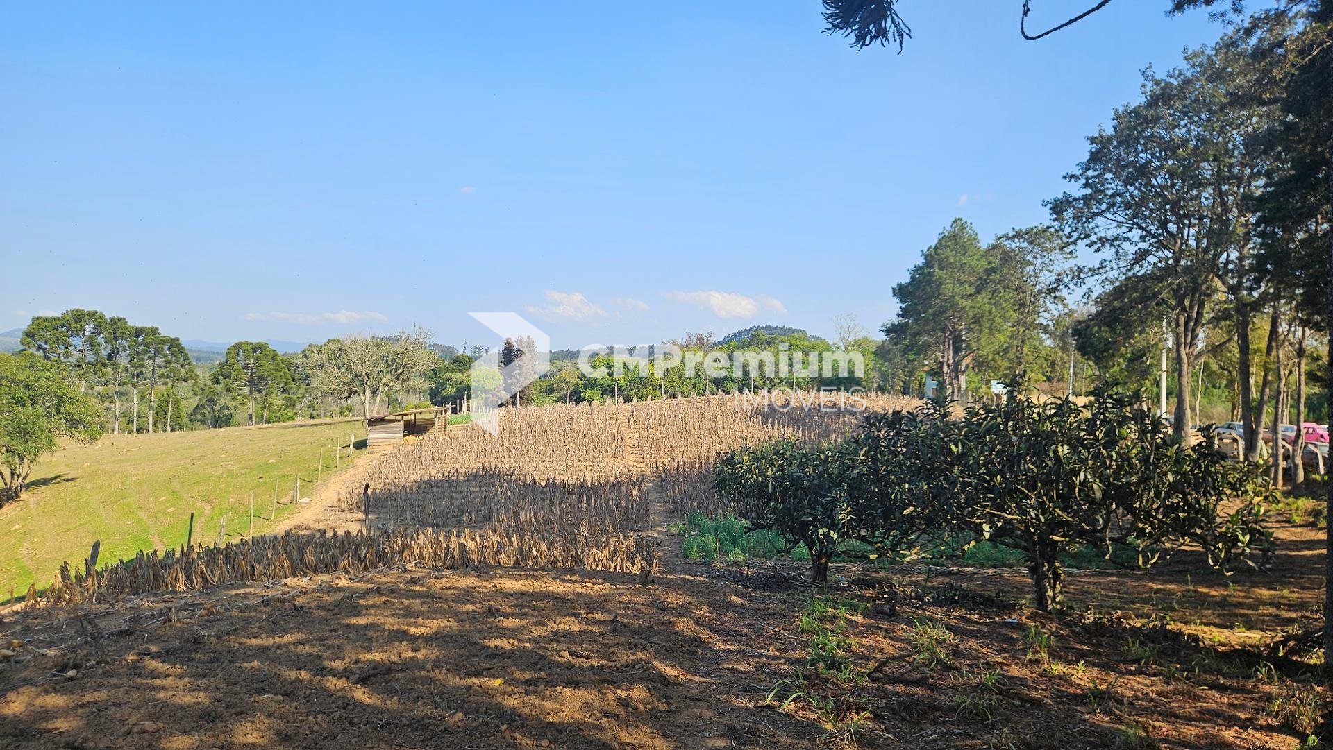 Chácara 40.000 m  em Mandirituba  Casa, pomar, nascentes e açude