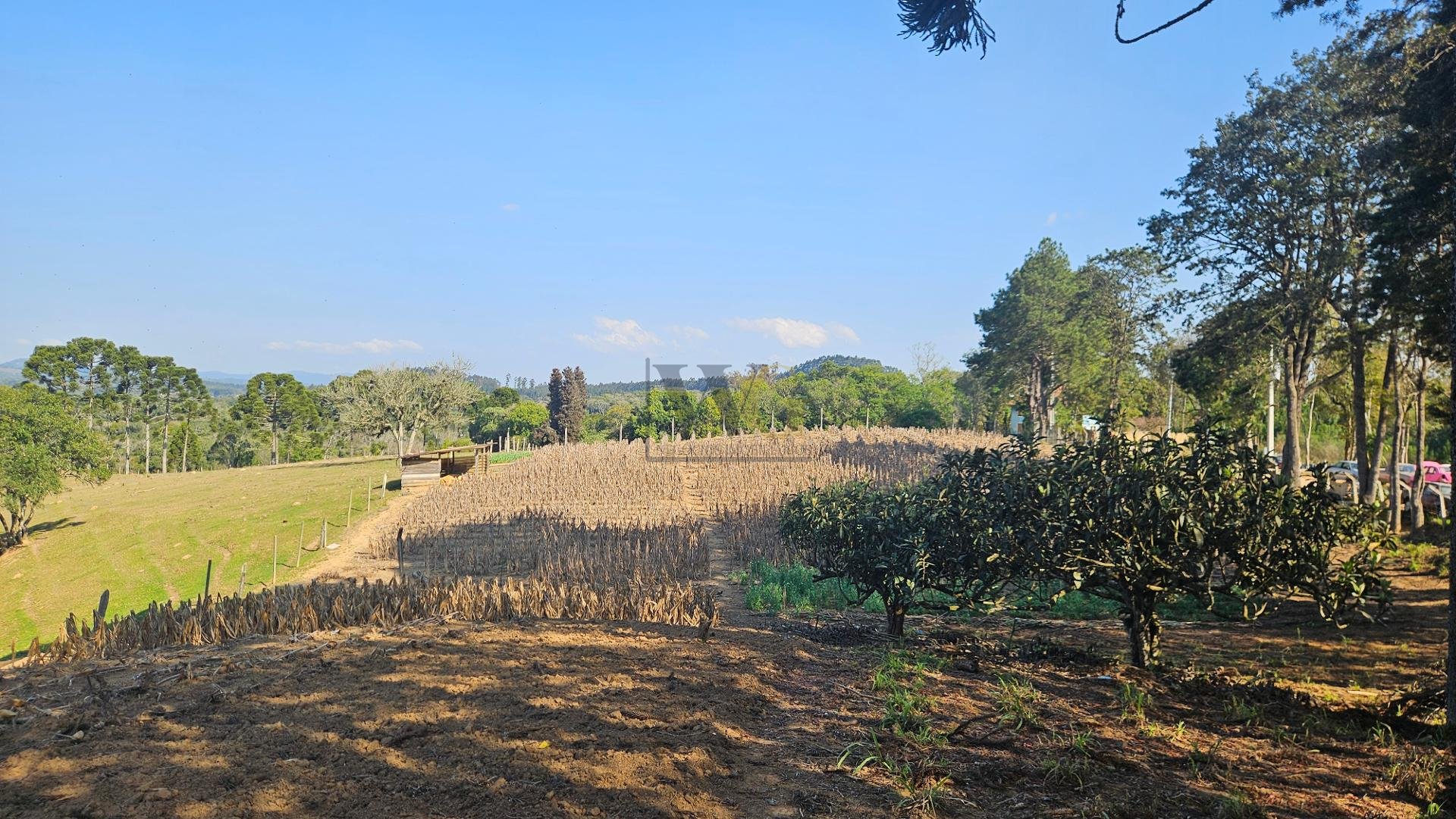 Chácara 40.000 m  em Mandirituba  Casa, pomar, nascentes e açude