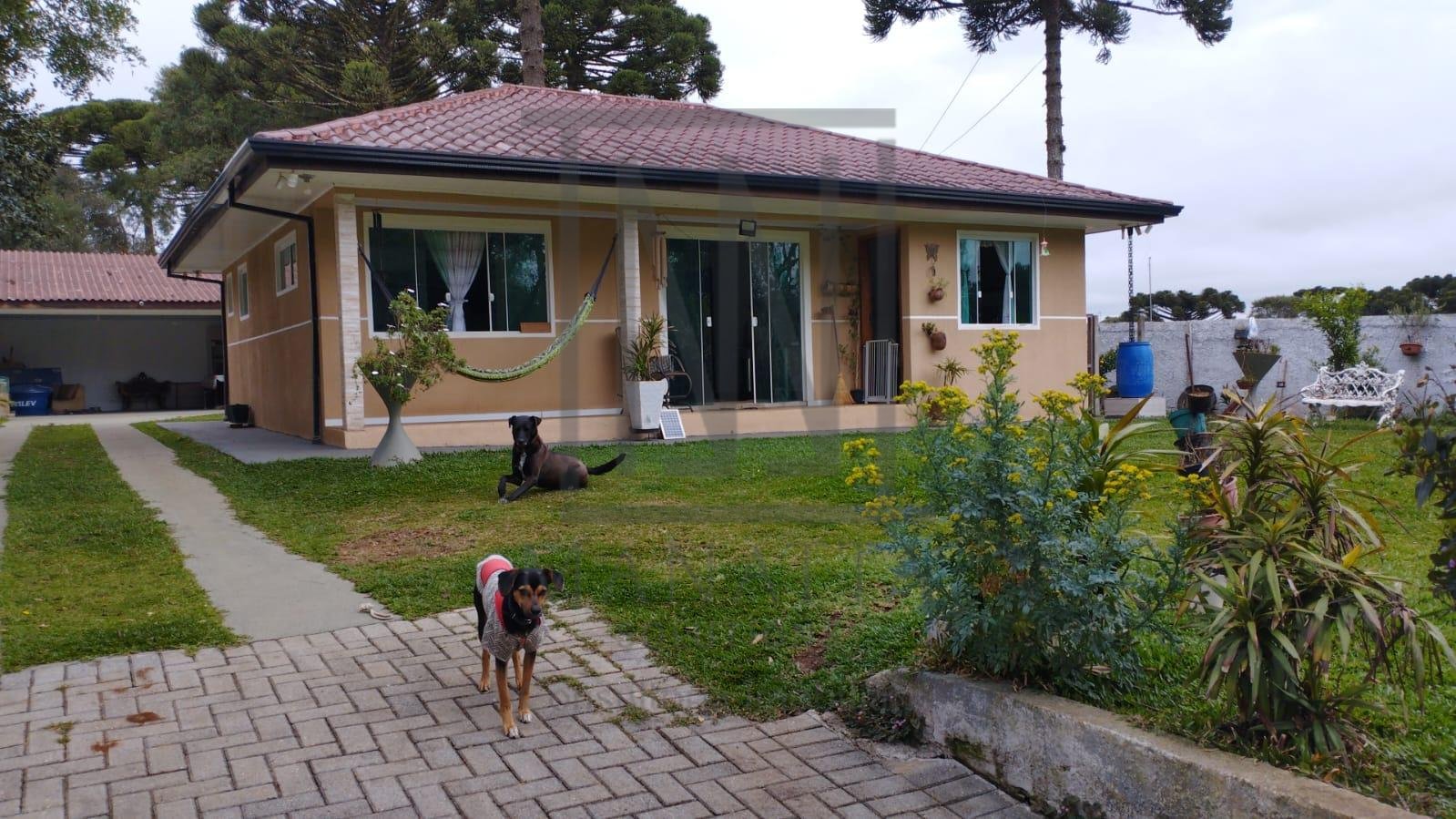 Casa ampla com 3 quartos em área verde, a 5 km do centro