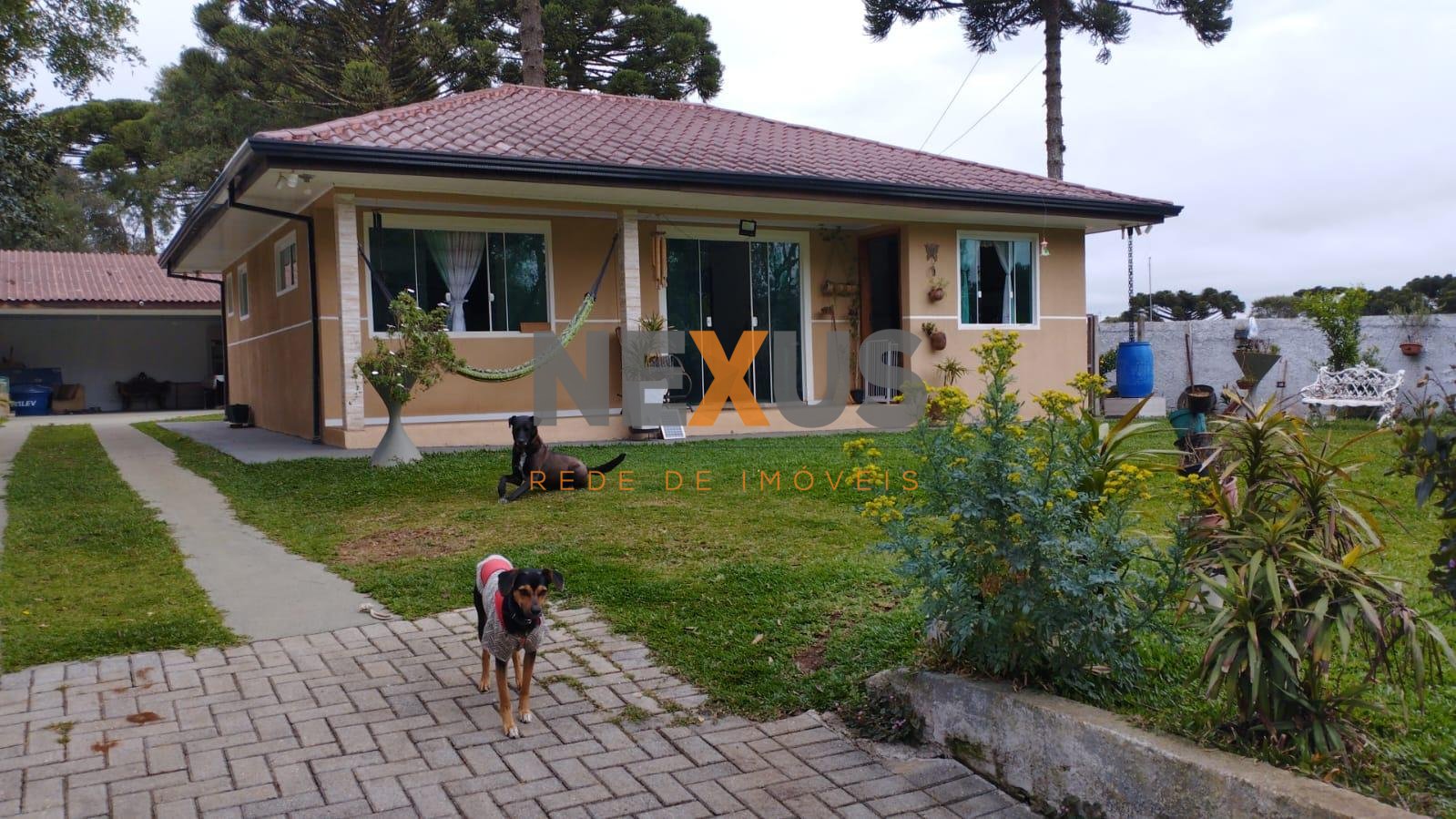 Casa ampla com 3 quartos em área verde, a 5 km do centro