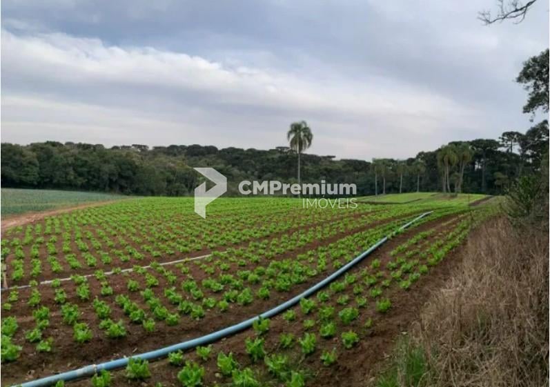 Terreno de 21.000 m  no Umbará  Espaço, Natureza e Privacidade...
