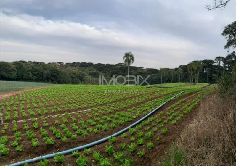 Terreno de 21.000 m no Umbará Espaço, Natureza e Privacidade...