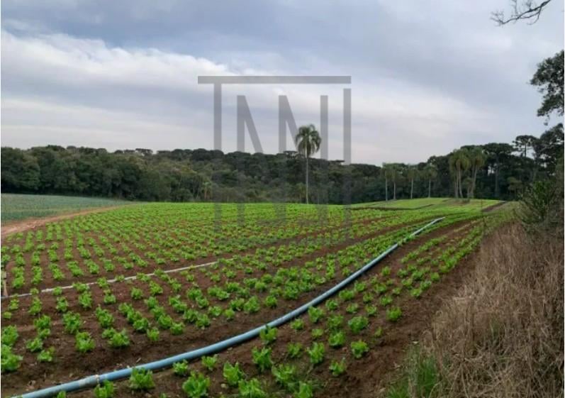 Terreno de 21.000 m  no Umbará  Espaço, Natureza e Privacidade...