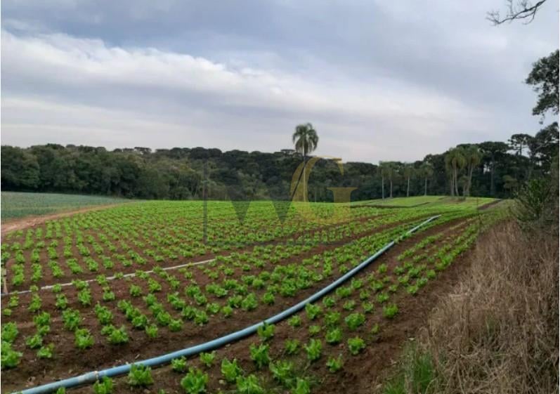 Terreno de 21.000 m  no Umbará  Espaço, Natureza e Privacidade...