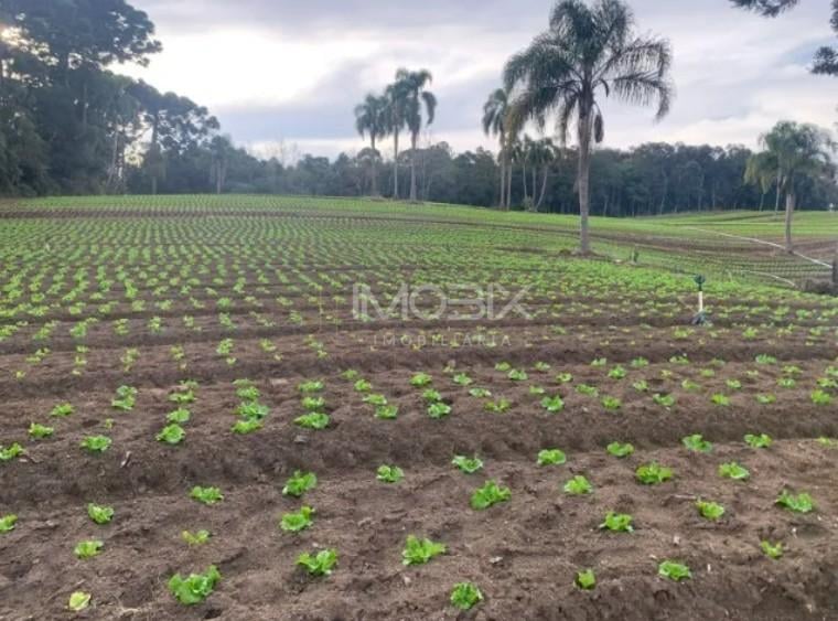 Terreno de 21.000 m no Umbará Espaço, Natureza e Privacidade...