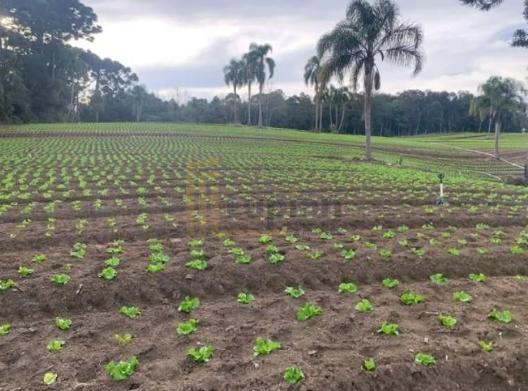Terreno de 21.000 m  no Umbará  Espaço, Natureza e Privacidade...