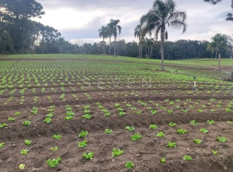 Terreno de 21.000 m  no Umbará  Espaço, Natureza e Privacidade...