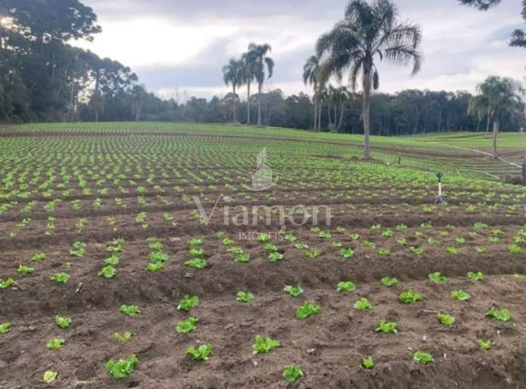 Terreno de 21.000 m  no Umbará  Espaço, Natureza e Privacidade...