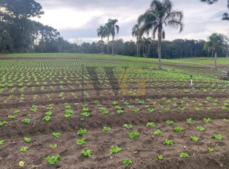 Terreno de 21.000 m  no Umbará  Espaço, Natureza e Privacidade...