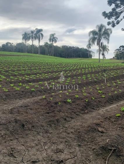 Terreno de 21.000 m  no Umbará  Espaço, Natureza e Privacidade...